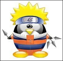 Quel nom irait  ce Tux ?
