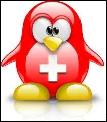 Quel nom irait  ce Tux ?