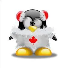 Quel nom irait  ce Tux ?