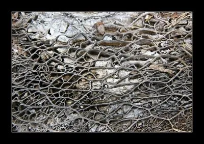 H.P. parle souvent de...