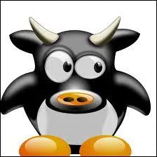 Quel nom irait  ce Tux ?