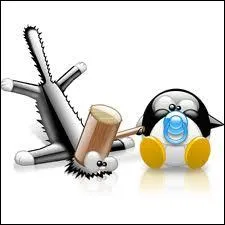 Quel nom irait  ce Tux ?