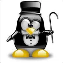 Quel nom irait  ce Tux ?