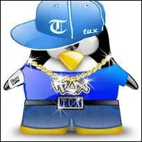 Quel nom irait  ce Tux ?