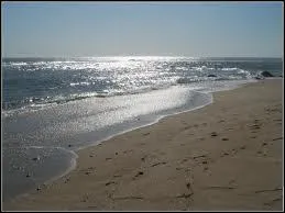 Dans les annes 60, qui chantait  Quand la mer se retire, il ne me reste rien  ?