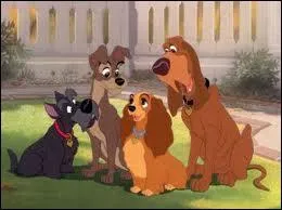 Qui est sur cette photo ?