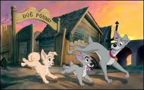 Qui est sur cette photo ?