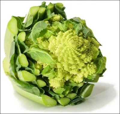 Ce chou ressemble au brocoli  cause de sa couleur et au chou fleur  cause de sa forme, il nous vient d'Italie. Il s'agit du chou...