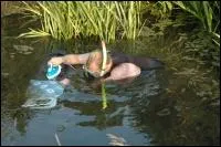 Qui pourrait-il rencontrer ?