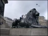 Comme a ! Quel est l'animal prfr de la personne qui repasse ?