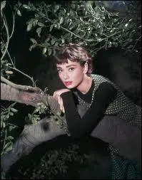 Dans ce grand film, Audrey Hepburn est la fille d'un chauffeur de matre, et observe depuis son arbre les splendides rceptions qui se tiennent dans la proprit. Quel est ce film ?