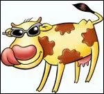 Comment s'appelle cette vache tachete cre pour vendre le pudding Dr Oetker aux enfants ?