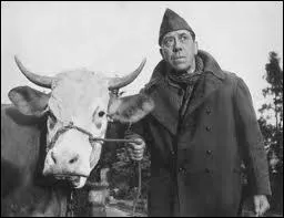Quelle vache permet  Charles Bailly (Fernandel) de s'enfuir d'Allemagne en 1943 ?