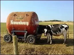 Quelle condition est indispensable pour que la vache produise du lait ?