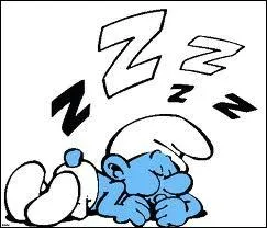 Qu'est-ce qu'un dodo ? (Attention  la nuance ! )