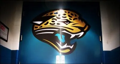 Pour les indiens yaguara, c'est  La bte sauvage qui tue sa proie d'un bond  !