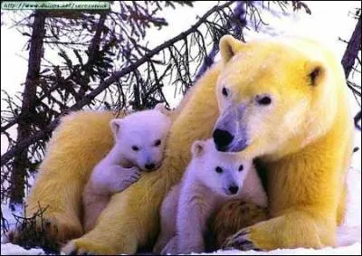 Pour eux, c'est un mot vital !