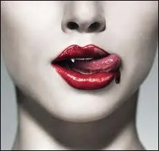 Quel est le titre de cette srie ?