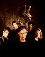 Quel est le titre de cette srie ?