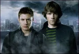 Quel est le titre de cette srie ?