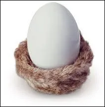 Que sont les oeufs Brayon, spcialits normandes ?