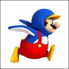A quoi sert le Mario Pingouin ?