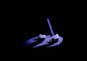 Comment s'appelle son fameux pas clbre ?