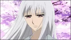 De quel Manga s'agit-il ?