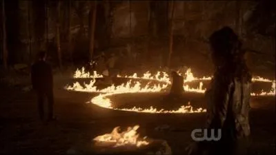 Qui a donn son me  Elena pour ne pas qu'elle meure quand Klaus l'a mordra lors du sacrifice ?