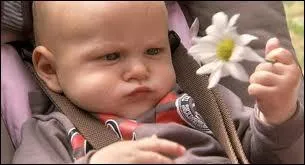 Qui est ce bb qui est d'ailleurs le fils de Clem ?