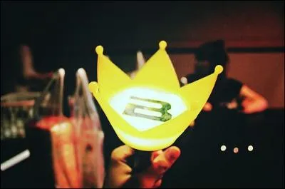 Quel nom portent les fans ?