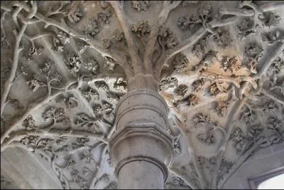 Rue Etienne Marcel s'lve une tour quadrangulaire haute de 27 mtres construite en 1410. A l'intrieur subsiste un magnifique chne sculpt en pierre symbole du propritaire. Qui tait-il ?