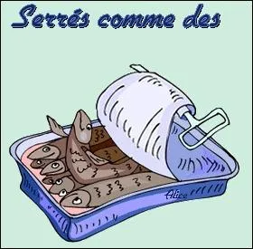  Ah qu'est-ce qu'on est serres au fond de cette bote, chantent les sardines entre l'huile et les aromates . Cet air trs entranant est chant par :