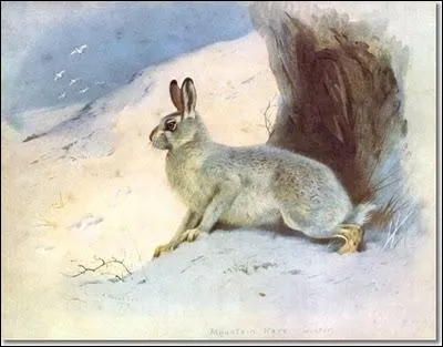 De trs jolis tons lumineux pour ce  Livre des montagnes , peint par ?