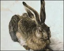 Un immense artiste pour ce lapin, qui est ?