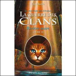 A qui Etoile du tigre et Plume de faucon donnent-ils des conseils ?