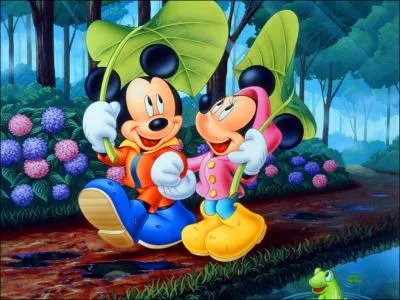 Sur ce dessin, il y a ...