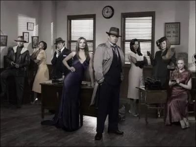 Quel personnage joue Stana dans la srie ABC, Castle ?