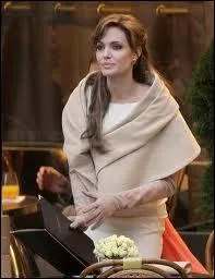 Sans doute le film aux costumes les plus rats, dans lequel le jeu coinc de Angelina Jolie vaut bien le jeu... trs lointain de Johnny Depp. Il s'agit du film ?