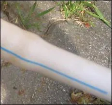 Quand doit-on changer un tuyau de gaz souple raccord sur ttines ?