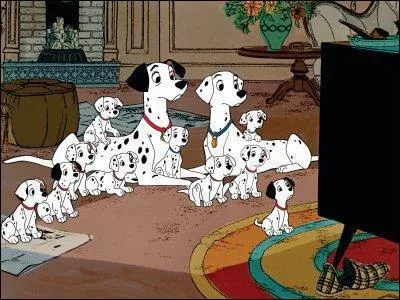 Pour   changer de race  , les 101 dalmatiens se roulent dans ...