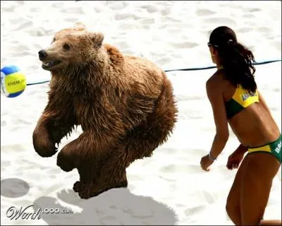 C'est un sacr dfenseur, il joue au ...