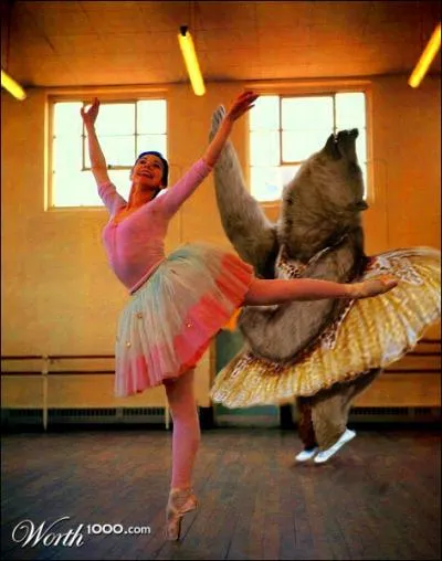 En quoi est habill l'ours ?