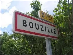 La petite ville de Bouzill est implante dans le Maine-et-Loire ?
