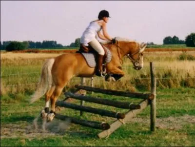 Comment se nomme cet obstacle ?