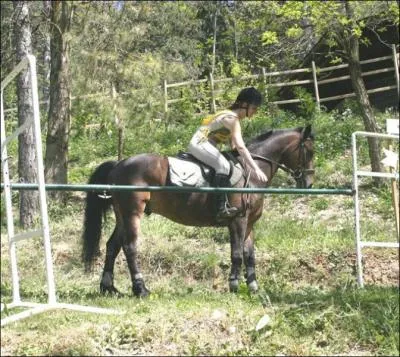 Cet obstacle consiste  ouvrir une barrire, on vrifie si le cheval obit. Comment s'appelle-t-il ?