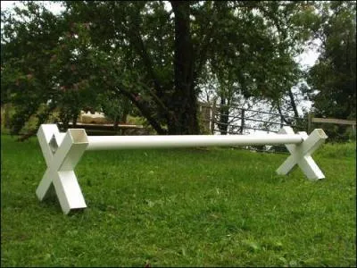 Comment se nomment les obstacles d'initiation, qui excdent rarement 50 cm de haut ?