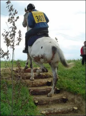 Comment s'appelle cet obstacle de trec ?