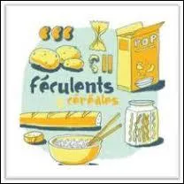 Il est recommand de manger des fculents avant une comptition d'endurance parce que ce sont des aliments riches en. .
