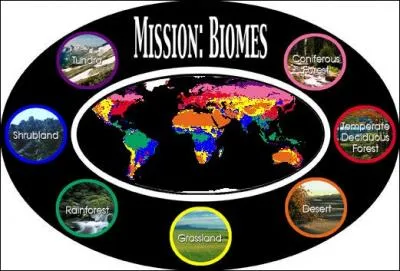 Qu'est-ce qu'un biome ?